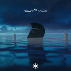 Shake It Down