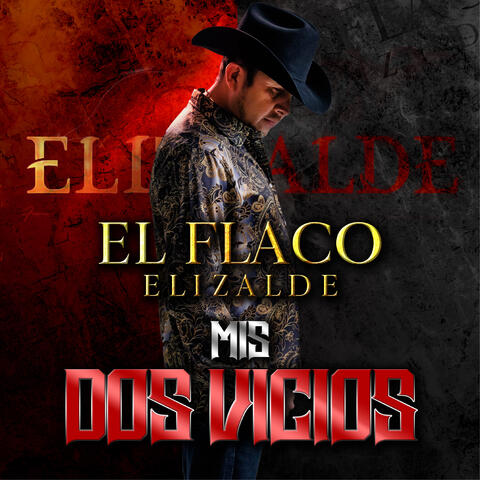 Mis Dos Vicios