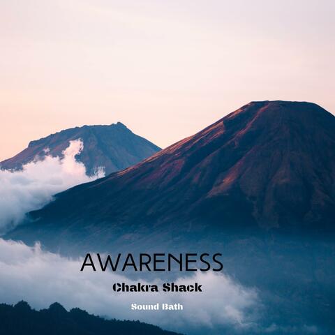 Awareness