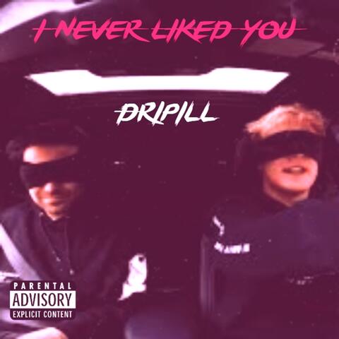 I Never Liked You