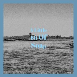 A Little Bit Of Soap