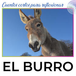El Burro
