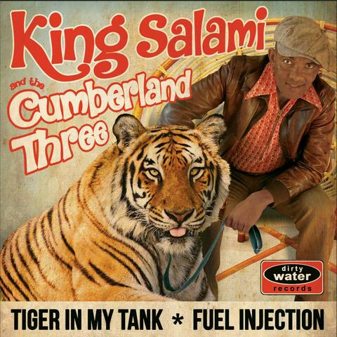 Tiger In My Tank