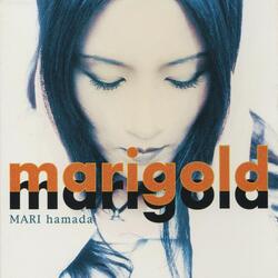 Manic Days