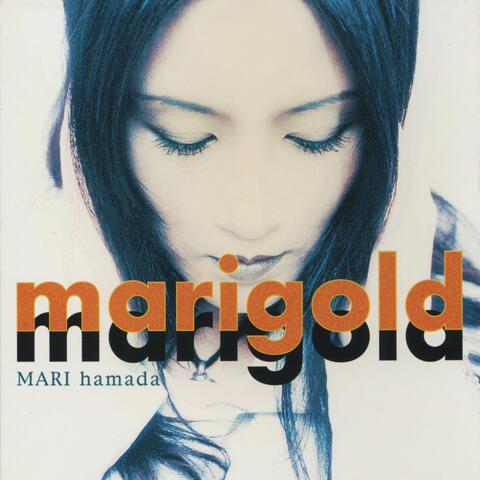 marigold