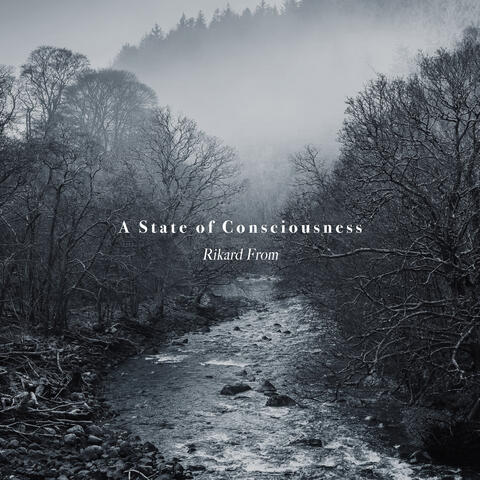 A State of Consciousness