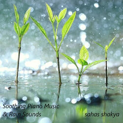Soothing Piano Music & Rain Sounds