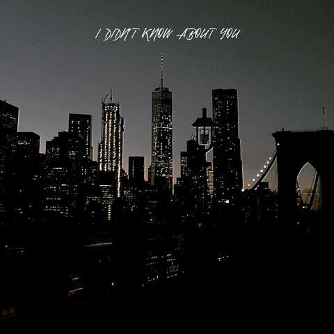I Didn't Know About You
