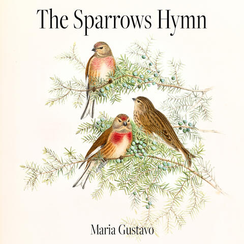 The Sparrows Hymn