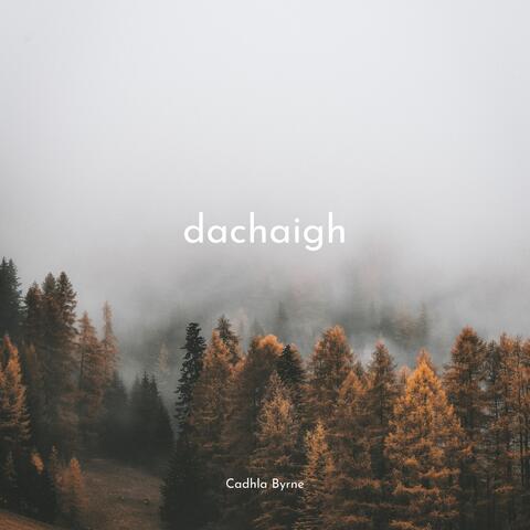 Dachaigh
