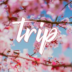 Trip