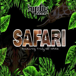 Safari