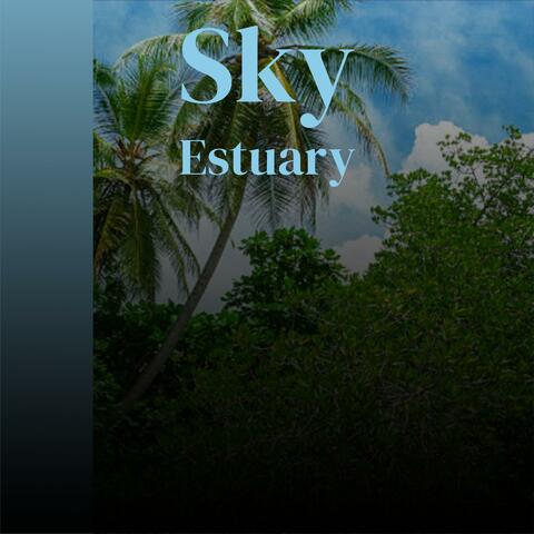 Sky Estuary