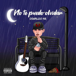 No Te Puedo Olvidar