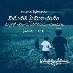 Jeevinthu Nenu
