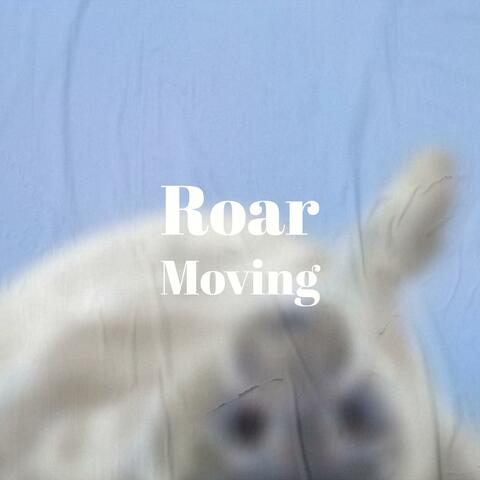 Roar Moving