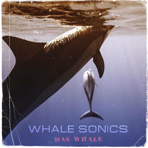 Whale Sonics