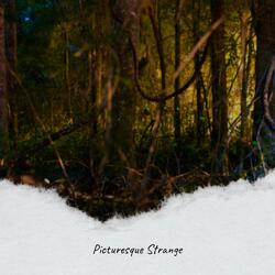 Crocodiles Evangelism