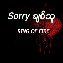 Sorry ချစ်သူ