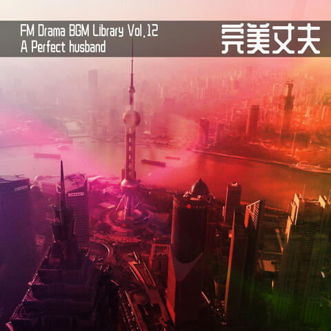 FM Drama BGM Library Vol.12 A Perfect Husband
