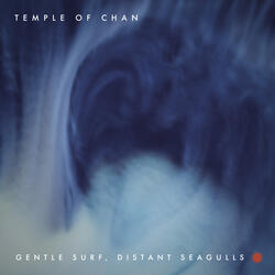 Gentle Surf, Distant Seagulls