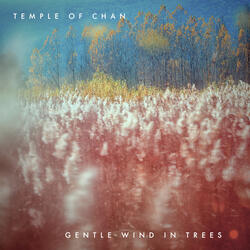 Gentle Wind In Trees