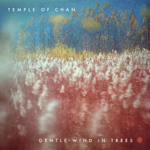 Gentle Wind In Trees