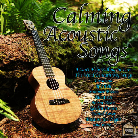 Calming Acoustic Songs