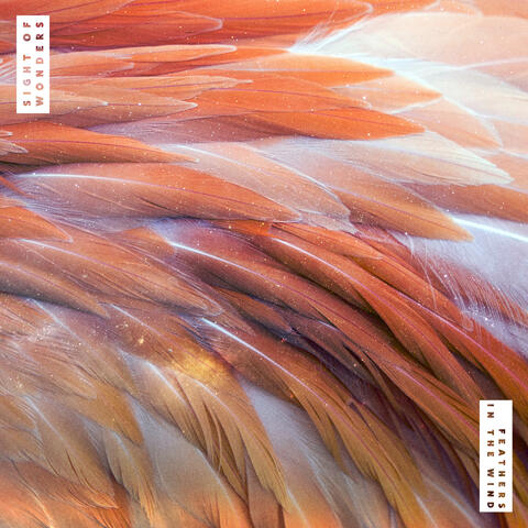 Feathers in the Wind