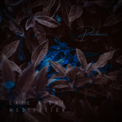 Late Night Meditation