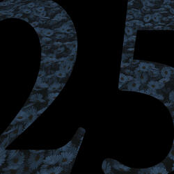 25