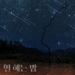 The Night I Count the Stars