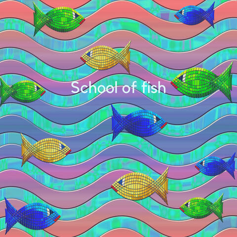 school of fish