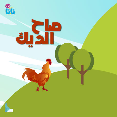 صاح الديك