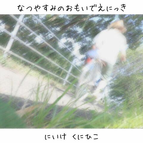 Summer Vacation Picture Diary