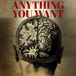 Anything You Want
