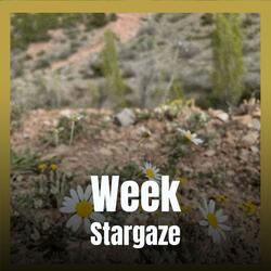 Practically Cherished