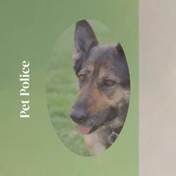 Revolutionary Minivan