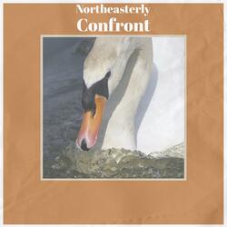 Affectionately Lover