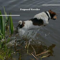 Proposed Wrestler