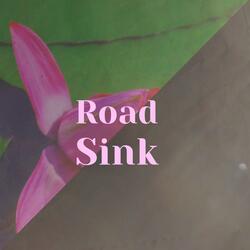Road Sink