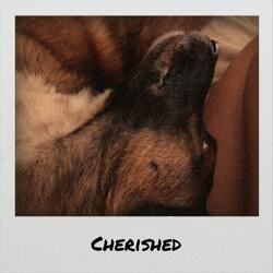 Cherished