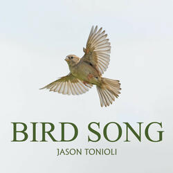 Bird Song