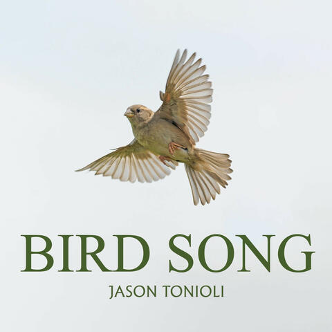 Bird Song