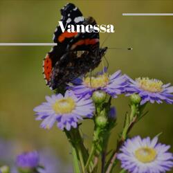 Vanessa