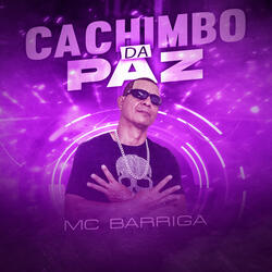 Cachimbo da paz