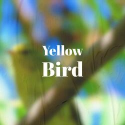 Yellow Bird