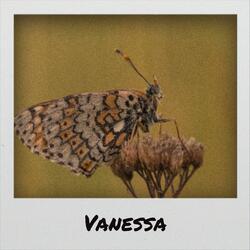 Vanessa