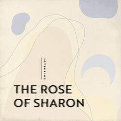 The Rose of Sharon