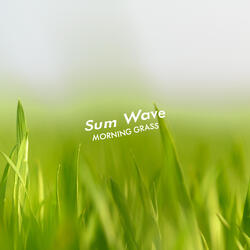 Morning Grass